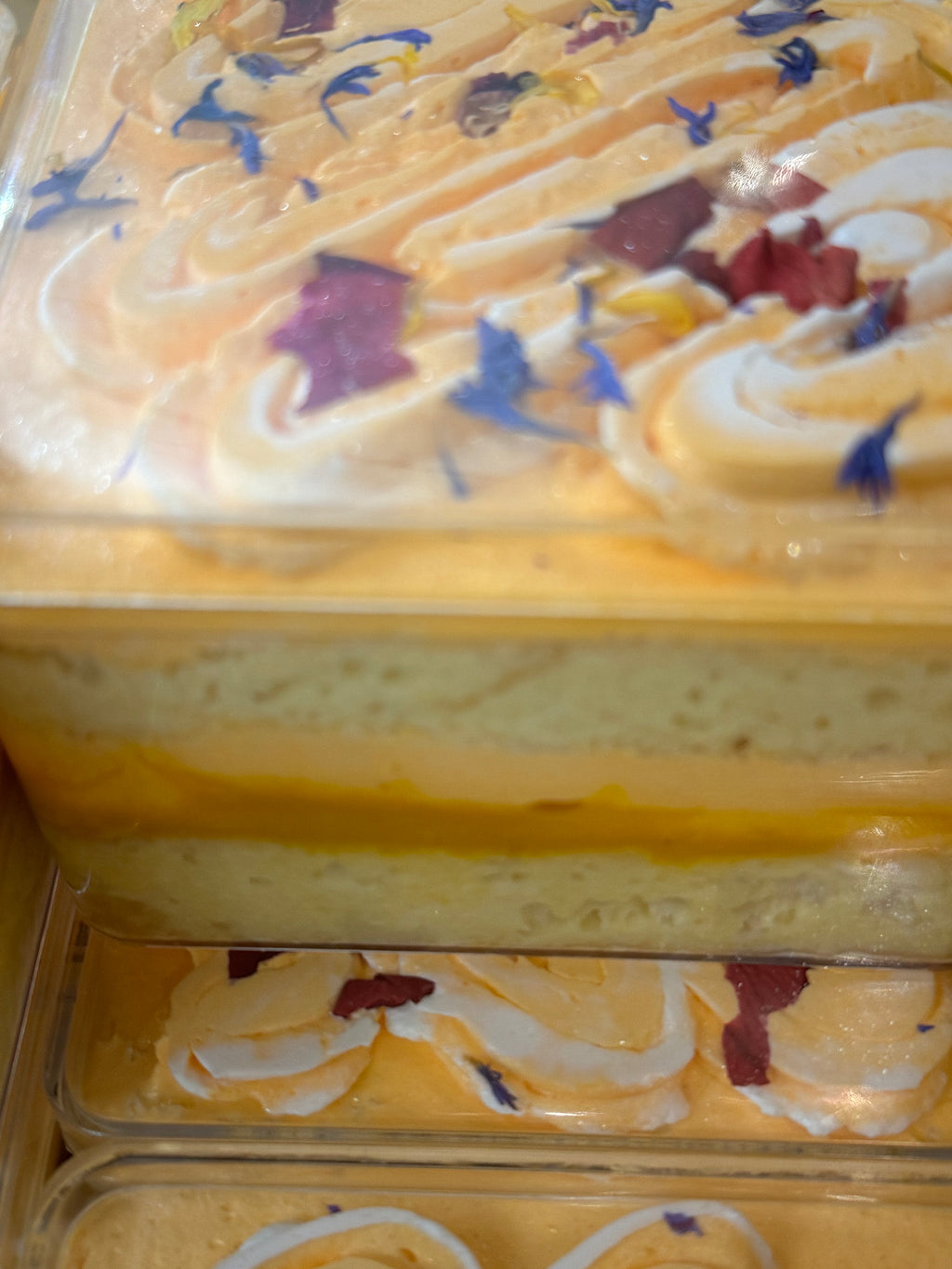 Golden Mango Tiramisu