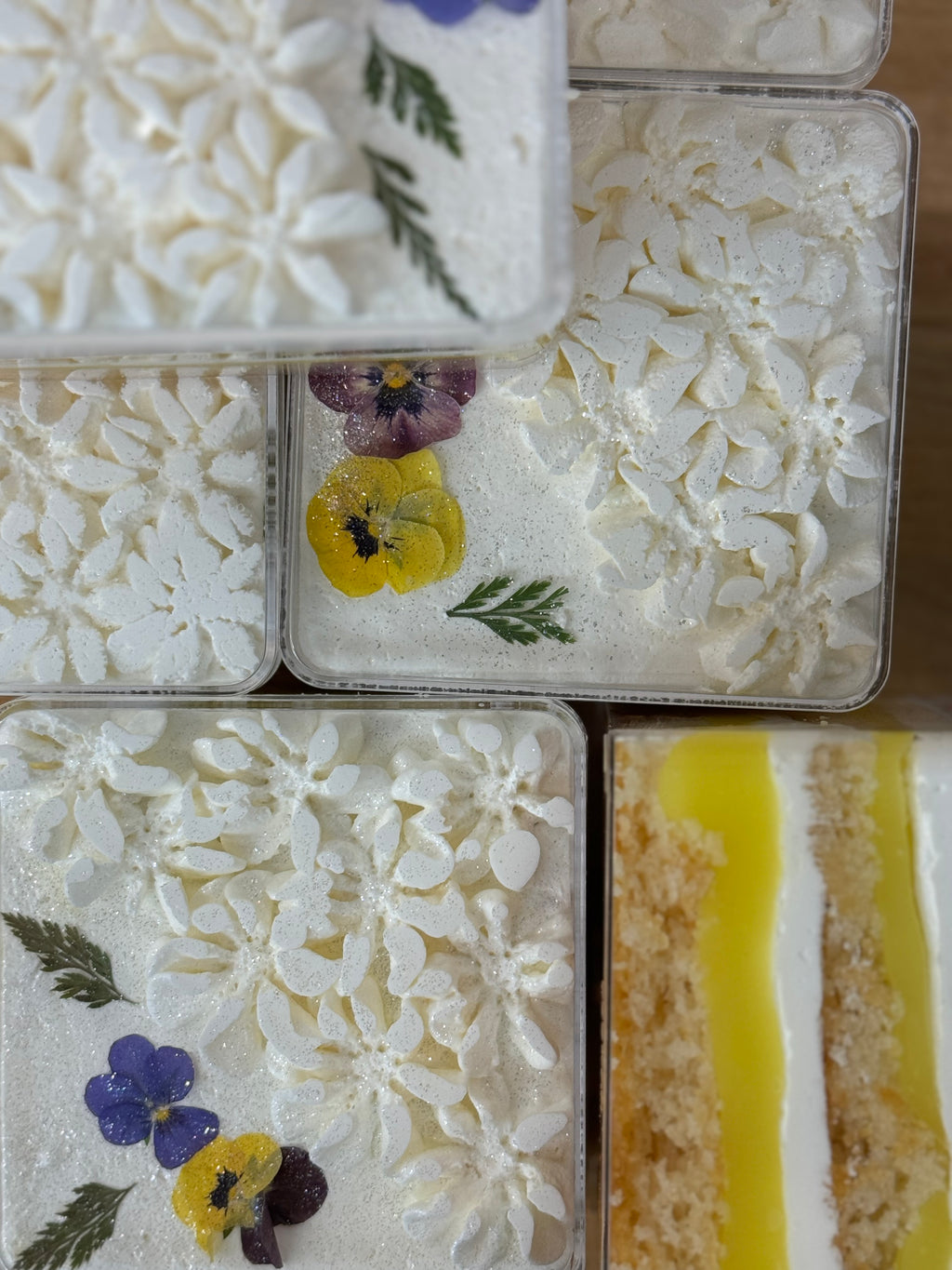 Coconut Bliss Milk Cake