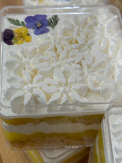 Coconut Bliss Milk Cake