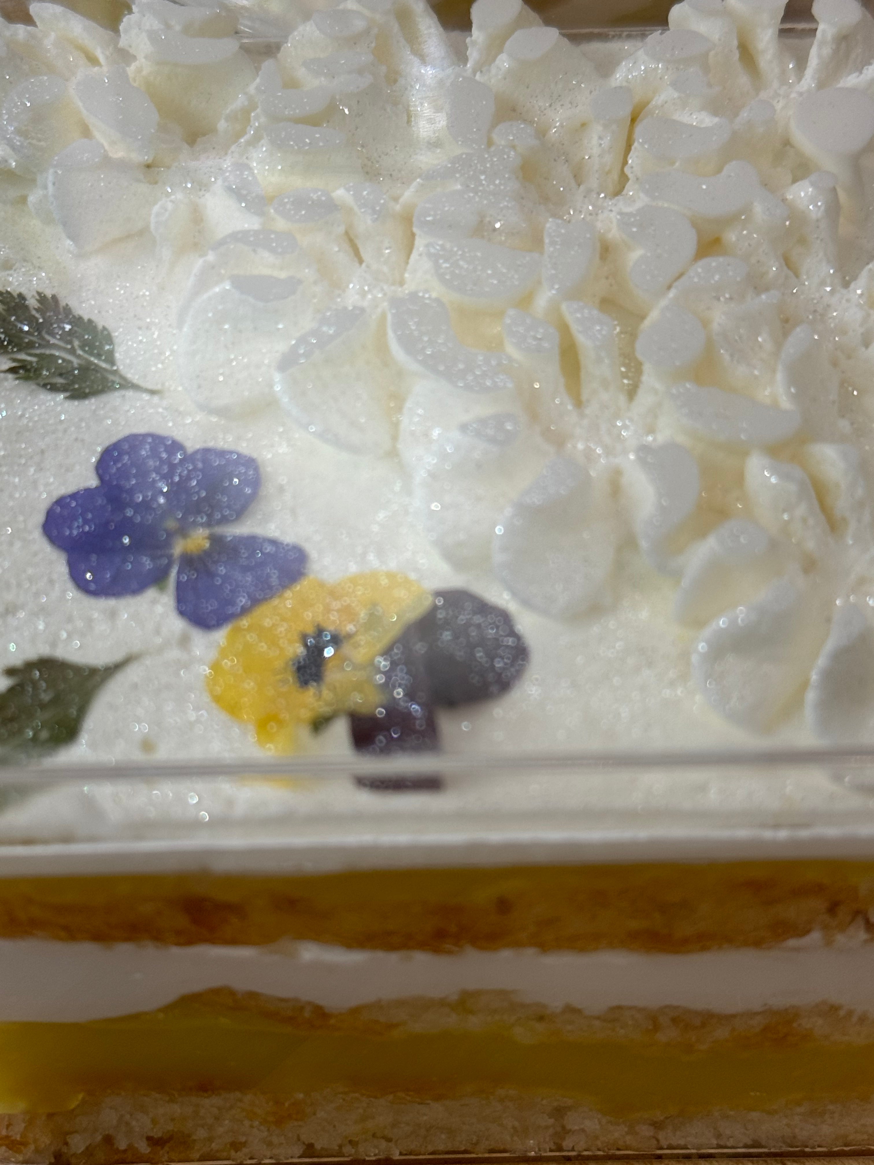 Coconut Bliss Milk Cake