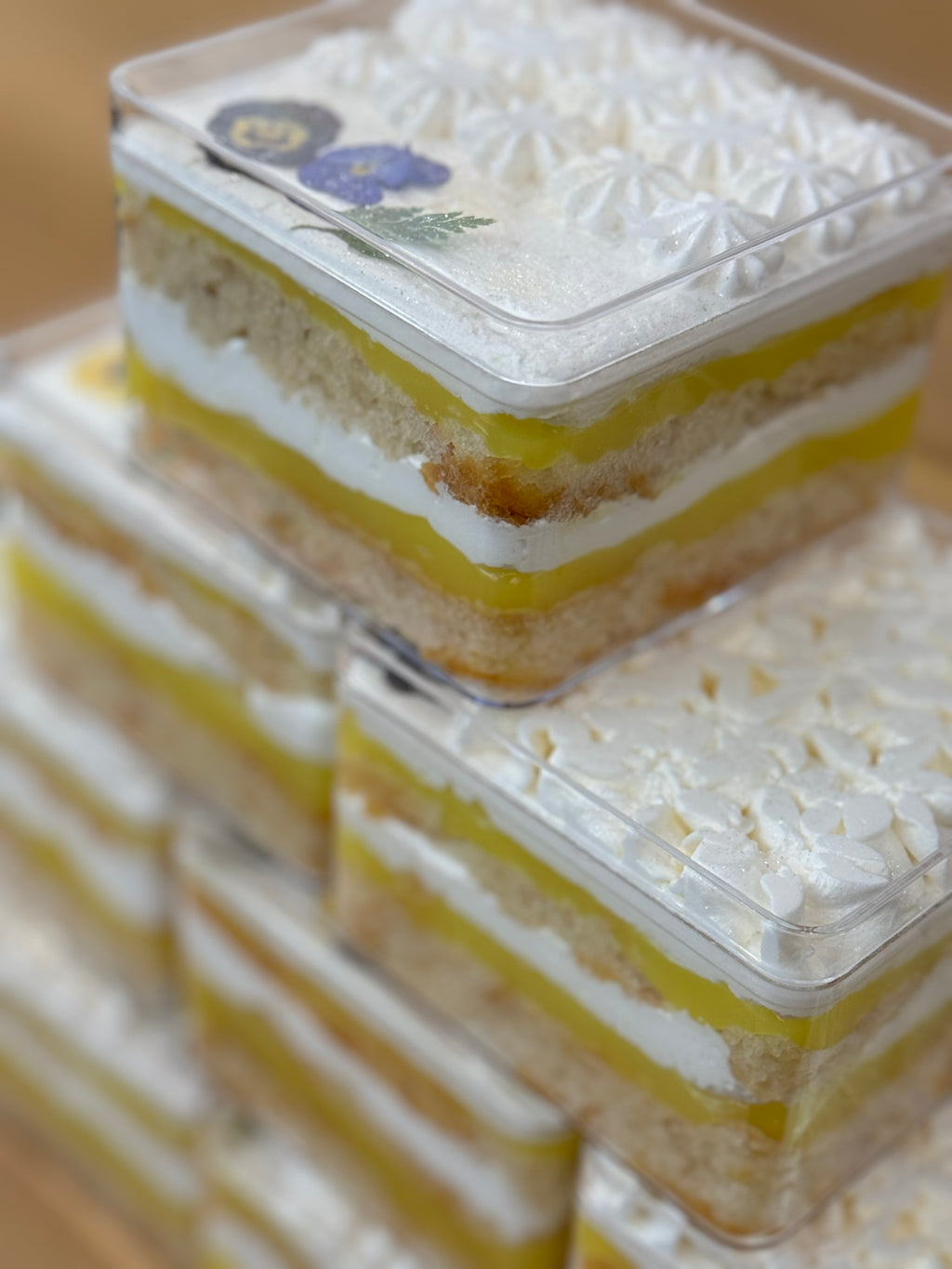 Coconut Bliss Milk Cake