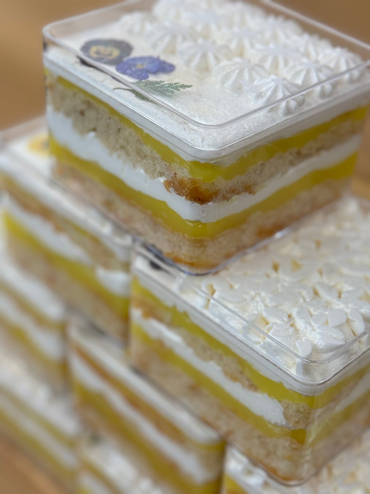 Coconut Bliss Milk Cake