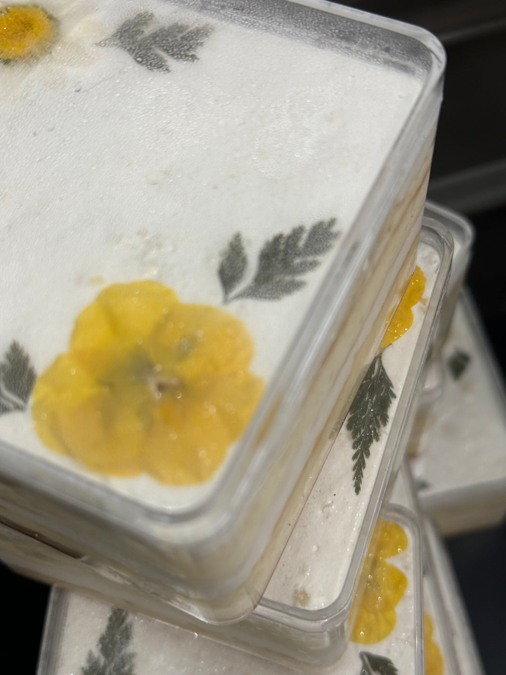 Tropical Pineapple Tiramisu