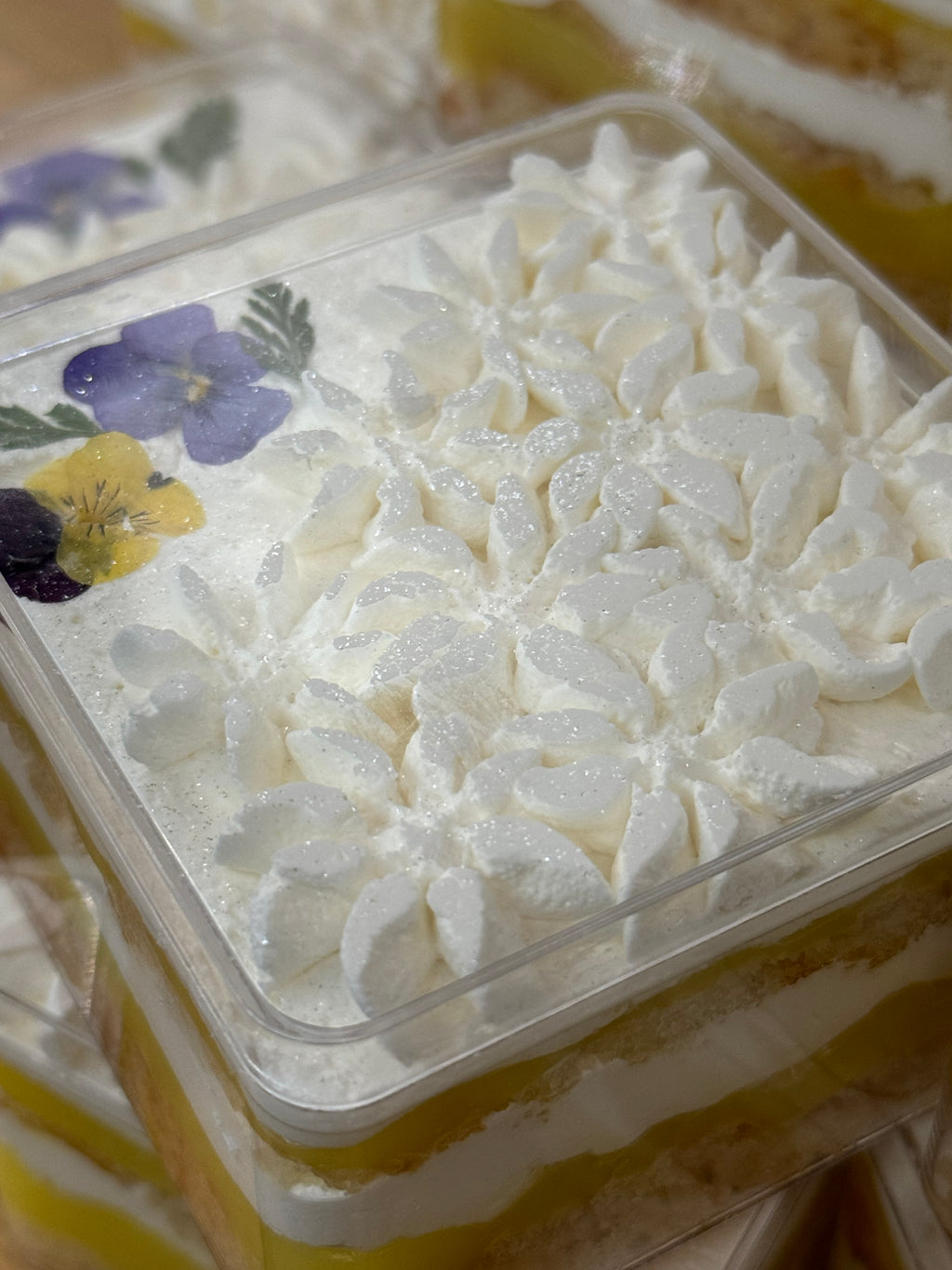 Coconut Bliss Milk Cake