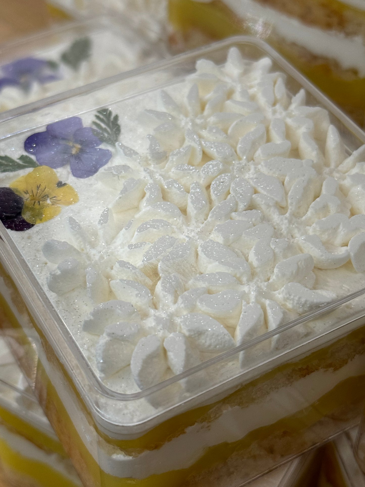 Coconut Bliss Milk Cake